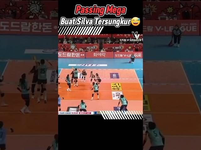 Passing Mega! Buat Silva Rebahan #megawatihangestri #ligavolikorea #volleyball