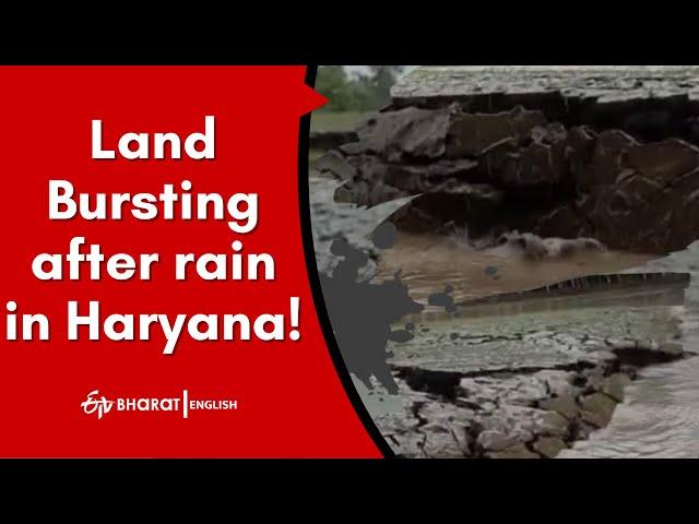 WATCH: Land Bursting after rain in Haryana! | Viral Video | Karnal | ETV Bharat