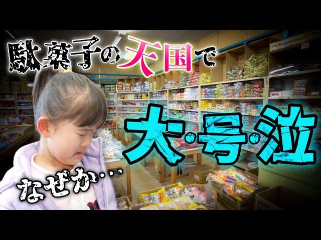 駄菓子の宝庫「菓子いちばん」さんで夢のお買い物のはずが大号泣！？その衝撃の理由とは…？