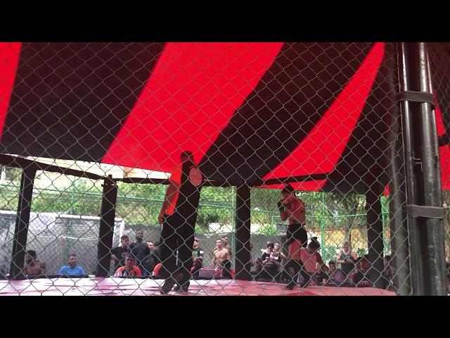 Cecilia Pereira (PRVT) vs Diana | Intense Fight Championship 1 [MMA AM]