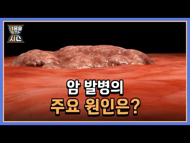 국내 암 환자 200만 명 시대… 암 발병의 주요 원인은? MBN 220904 방송