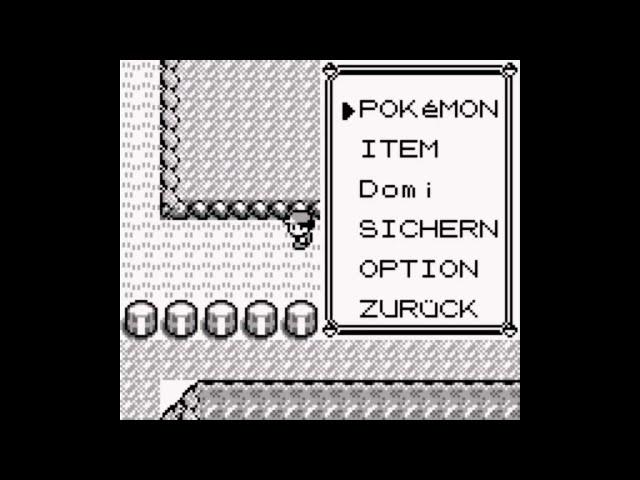 Ein Missingno Fangen