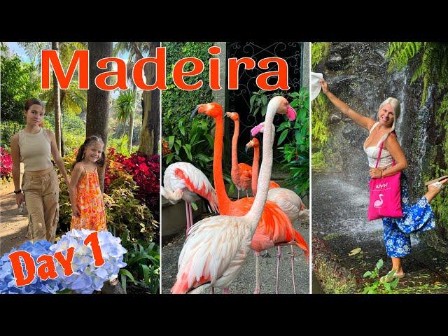 МАДЕЙРА, Тропический сад Монте, Фуншал. ПОПАЛИ в ДЖУНГЛИ! Madeira, Monte Palace Tropical Garden 4k