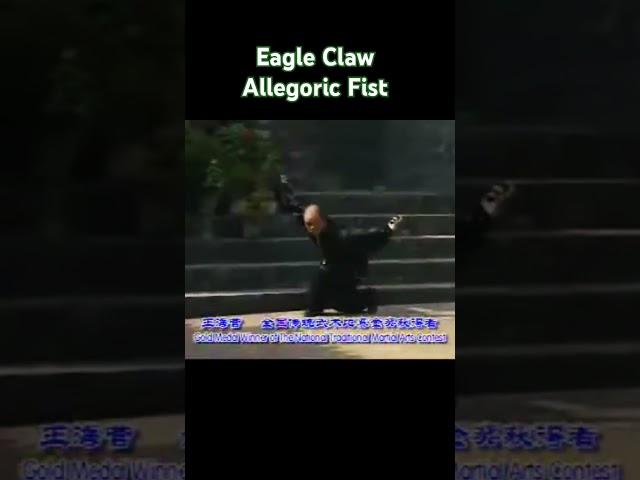 Eagle Claw Allegoric Fist #kungfu #martialarts #animais