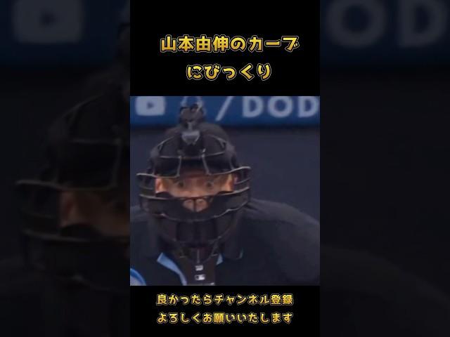 山本由伸のカーブにびっくりな球審 #野球好き集まれ