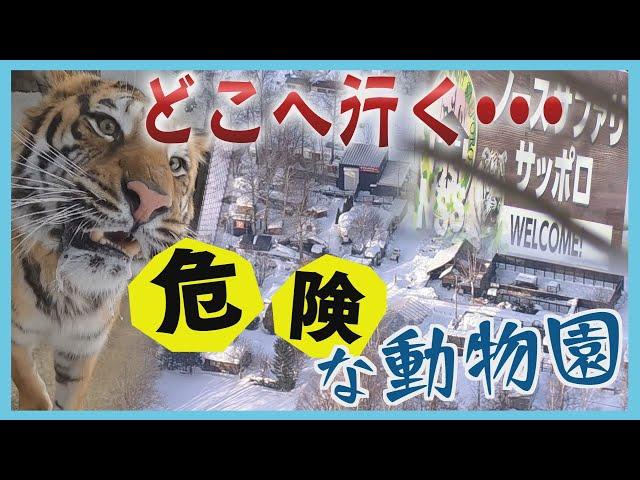 違法状態がなぜ20年間も…？動物たちはどうなる？　及び腰だった札幌市が認めた”反省点”　ノースサファリサッポロの現在地