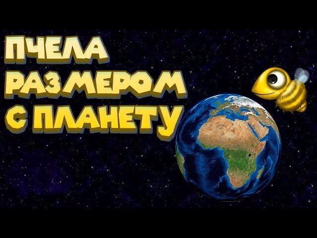 ПЧЕЛА СЬЕЛА ПЛАНЕТУ ЗЕМЛЯ Tasty Planet Forever Эволюция пчелы
