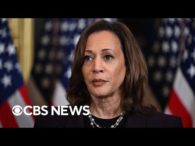How does the vice presidential vetting process work?