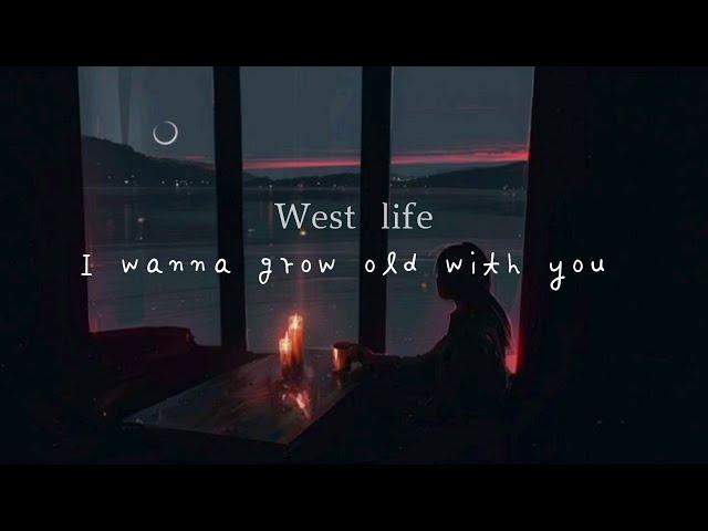 West life- I wanna grow old with you| Short cover by meg