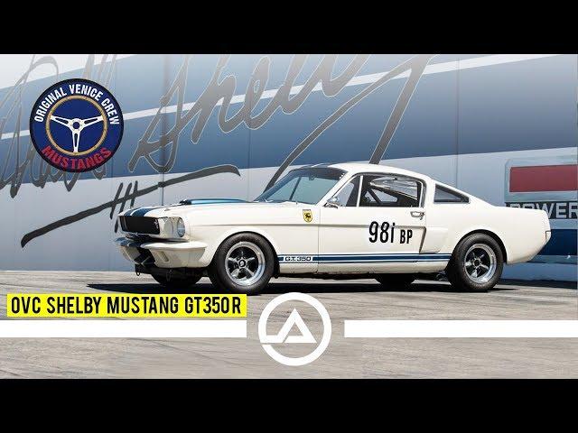 1965 Shelby GT350R | The Mustang They Wanted to Build