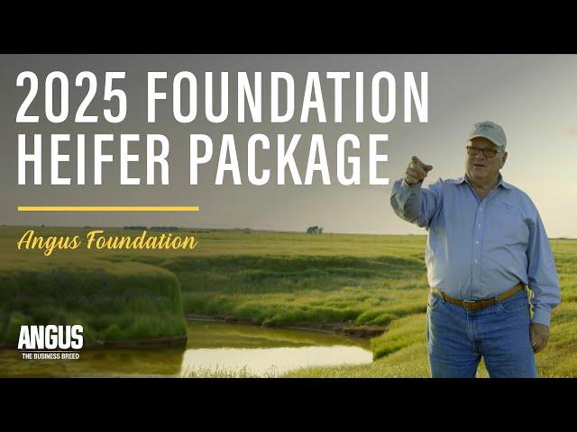 2025 Angus Foundation Heifer Package | Pollard Farms