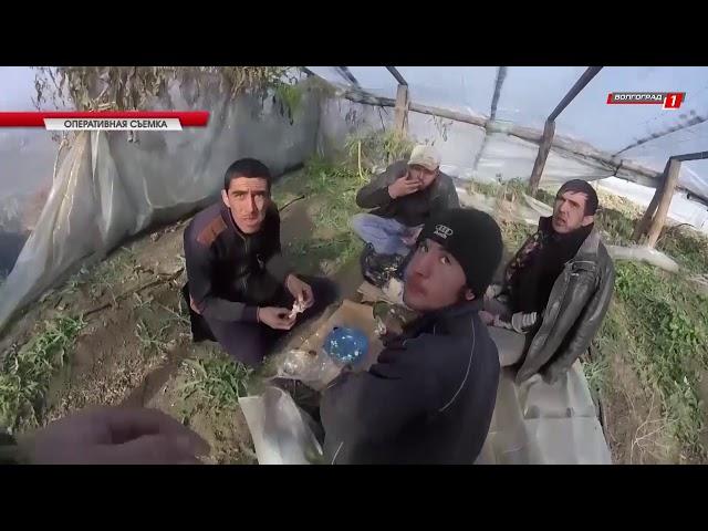 Сводка ГУ МВД России по Волгоградской области [10/10/2017]