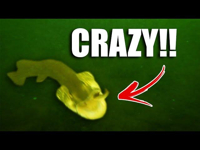 Most INSANE STRIKE EVER!! (Underwater Footage!)