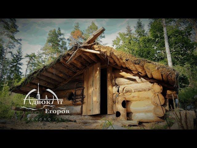 Traditional log cabin with a bear-proof door