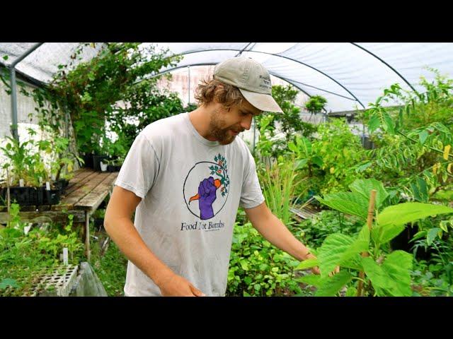 He’s Introducing NEW Rare Edible Plants to Florida (& Beyond)!