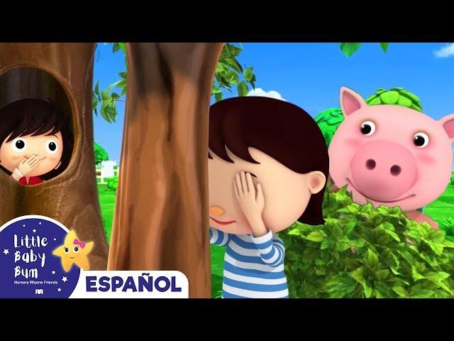 Canciones Infantiles | Canción del Escondite | Dibujos Animados | Little Baby Bum en Español