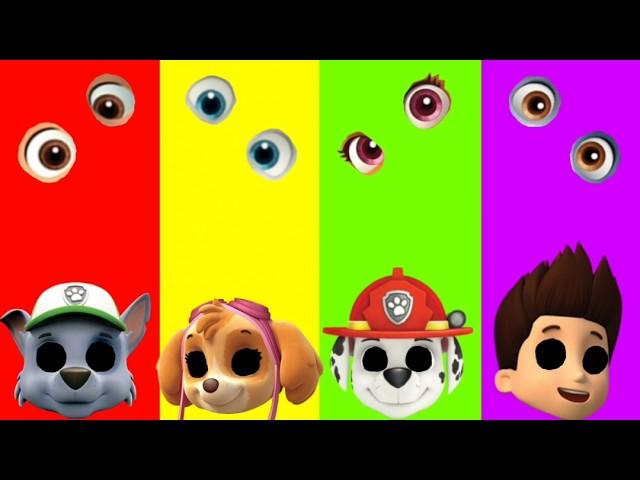 Wrong eyes challenge DAME TU COSITA Paw Patrol Funny Puzzle Wrong Heads