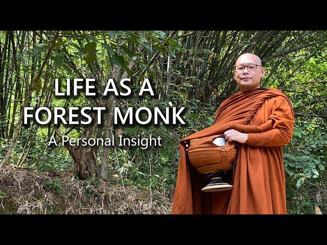 Life as a Forest Monk. A personal insight when practicing under Luangpor Sangob at Wat Pa Sukjai.