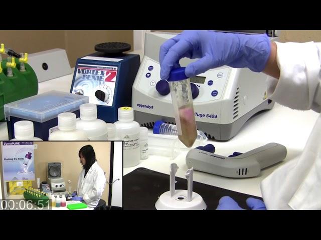 Midi & Maxi Plasmid DNA Isolation in 18 Mins with ZymoPURE™