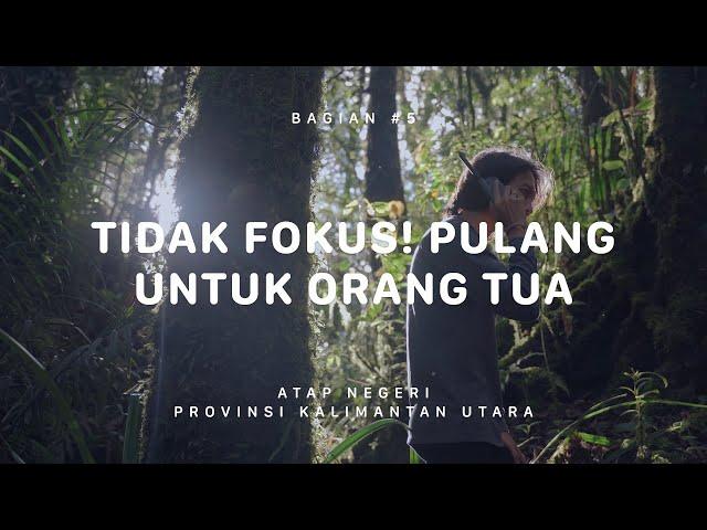 GUNUNG HARUN - Atap Negeri Kalimantan Utara #5