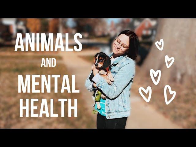 can having a pet improve your mental health?