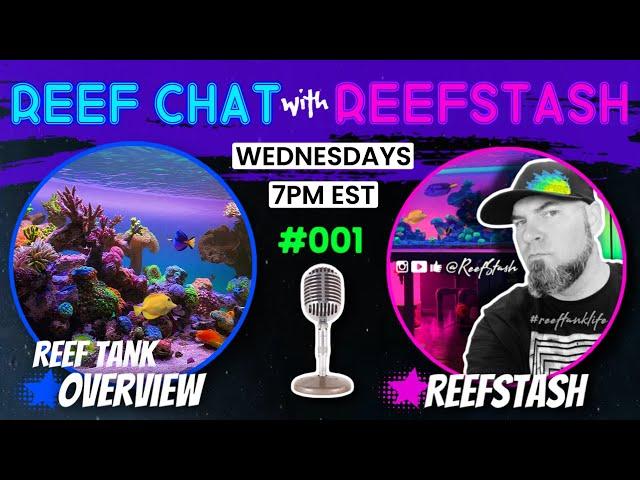 Reef Chat with ReefStash - 001 Reef Tank Overview