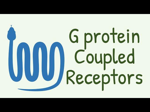 G Protein Coupled Receptors (GPCR) & G Proteins