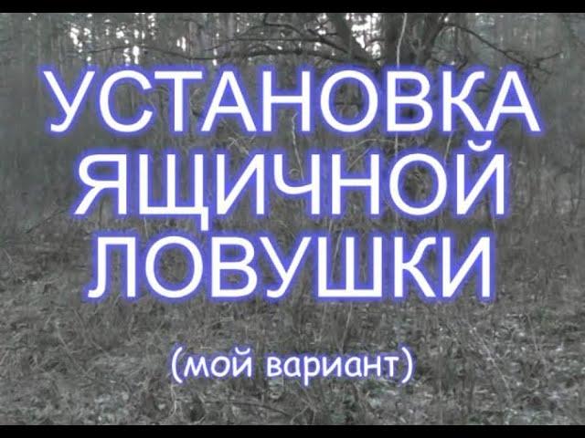 Вариант установки ящичной ловушки на куницу, соболя, хоря...