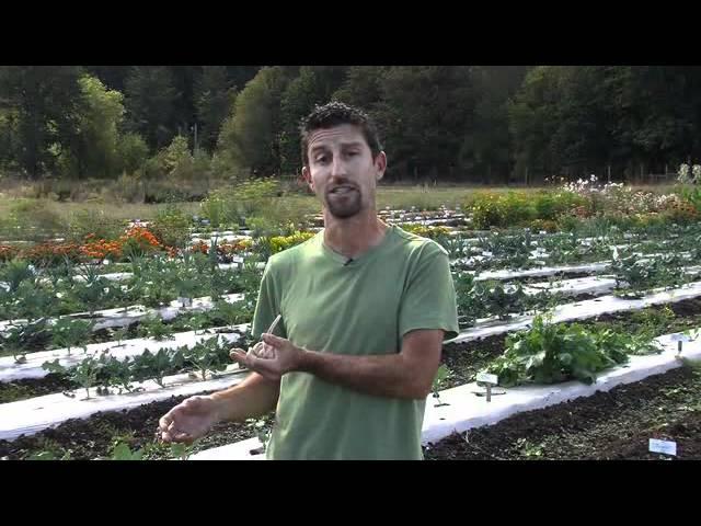 Planting Garlic Instructional Video from Territorial Seed Company