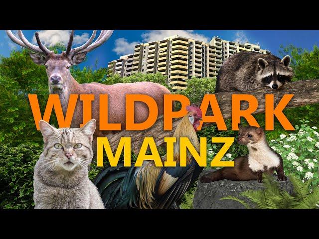 Gonsenheimer Wildpark (Mainz) | Zoo-Eindruck