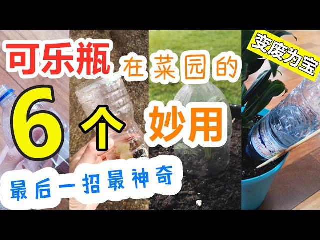 【废物利用】矿泉水瓶使用方法大全, 6个技巧对种菜有帮助