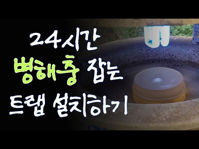 [구기자 농사일기#8] 24시간 병해충 잡는 트랩 설치하기(feat. 비닐하우스 작물)