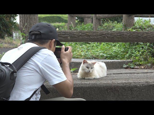 【特集】地域猫の写真と川柳に思いを込めて…不登校・ひきこもりを乗り越えたカメラマン