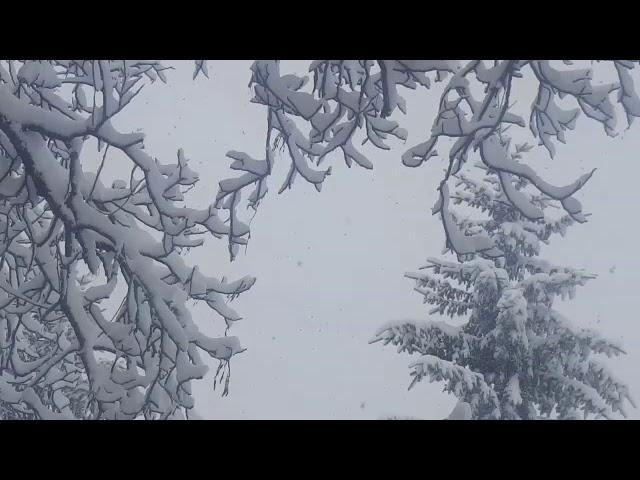 La neve del 26 Febbraio 2018