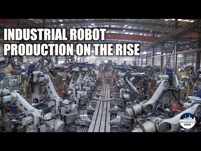 China's industrial robot production surges with AI widely used