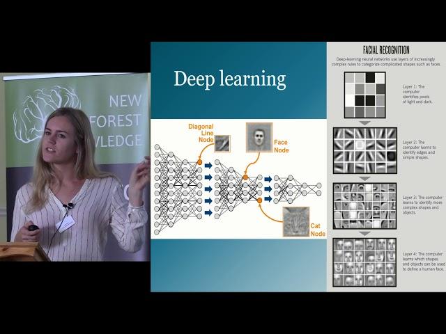 Automated Detection of Archaeology in the New Forest using Deep Learning with Remote Sensor Data