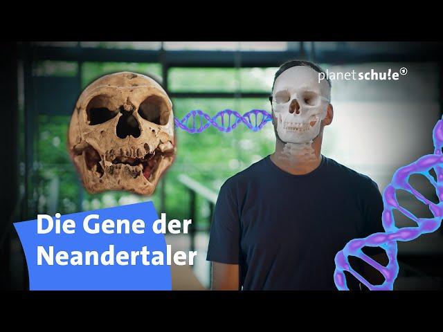 Spektakuläre Suche: Der Neandertaler in uns - Woher wissen wir das? | planet schule