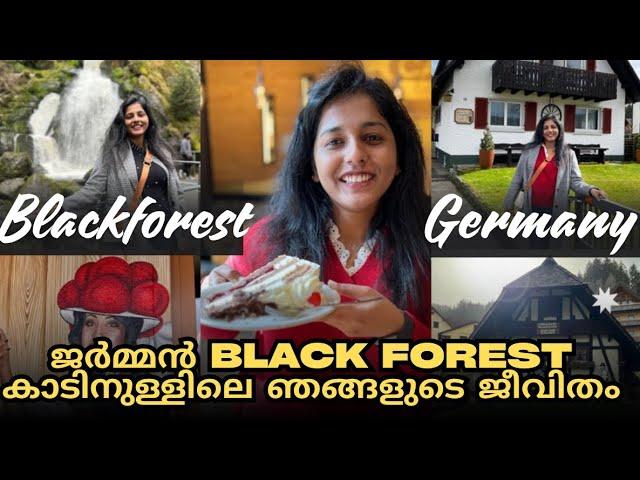 ജർമ്മൻ Blackforest കാട്ടിലെ ഞങ്ങളുടെ ജീവിതം | Our days in Blackforest, Germany | Malayalam Vlog