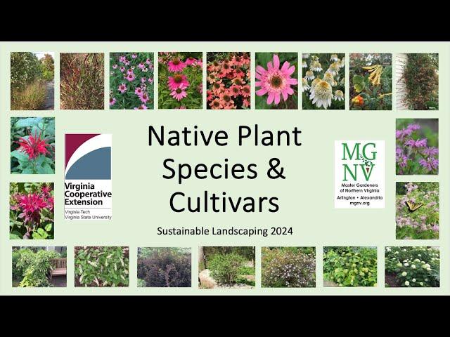 Native Plant Species & Cultivars