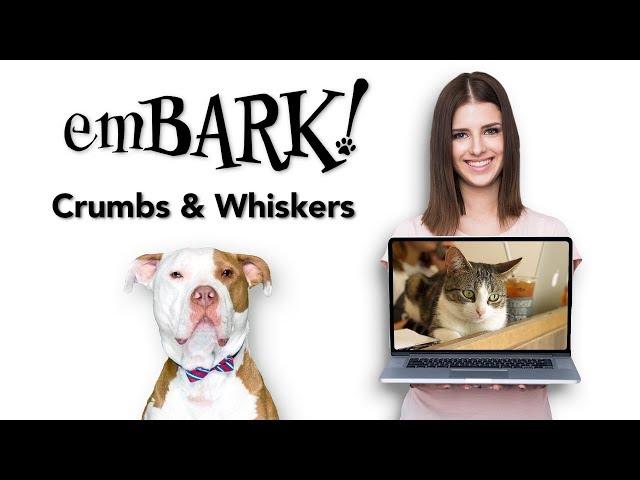 emBARK! TV - Crumbs & Whiskers