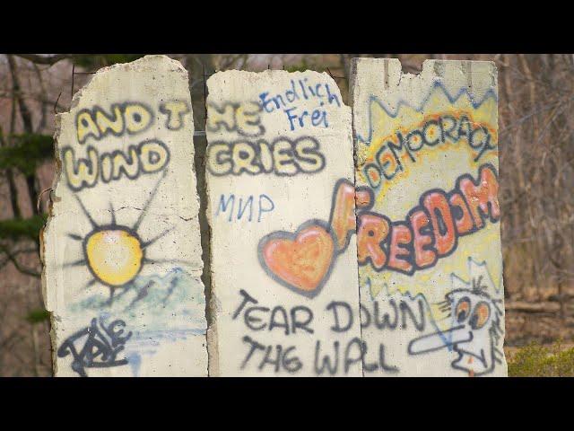How Powerful Can Soft Power Be?