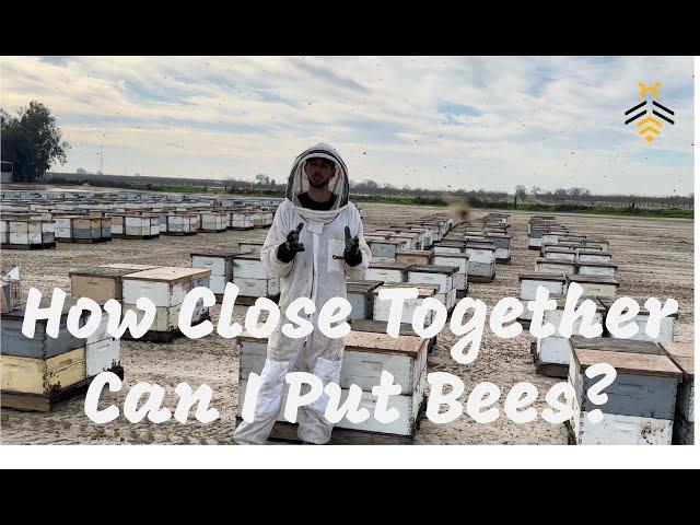 How CLOSE TOGETHER Can You Put Your Hives?