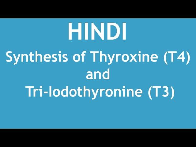 Synthesis of thyroxine (T4) and tri-iodothyronine (T3) [HINDI] | Dr. Shikha Parmar