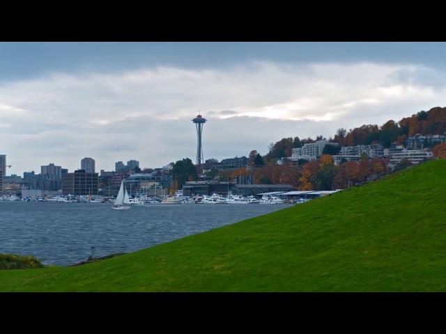 Swedish | The Best Place to Work and Practice