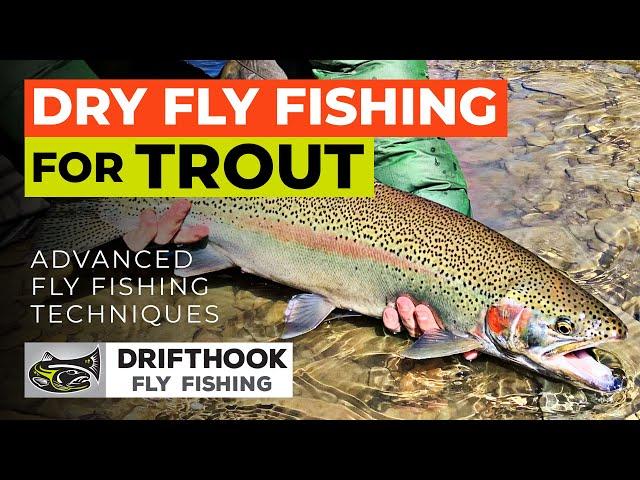 Dry Fly Fishing for Trout - Setup and Techniques