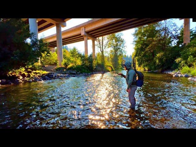 MILLIONS of Fisherman Drive Over This GEM of a River DAILY & Have ZERO CLUE What They Are Missing