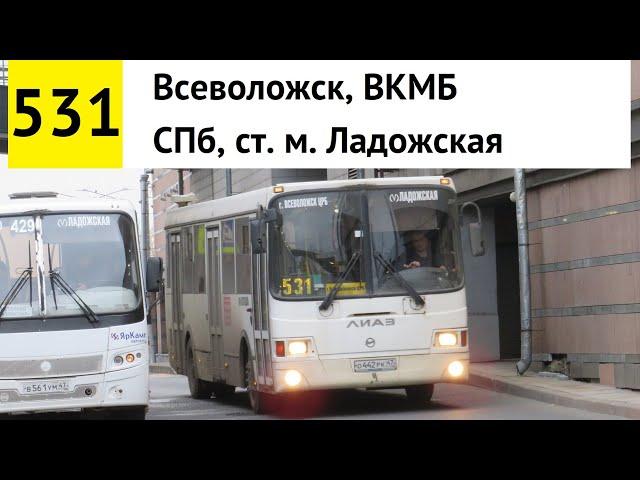 Автобус 531 "СПб, ст. м. "Ладожская" - Всеволожск, ВКМБ"