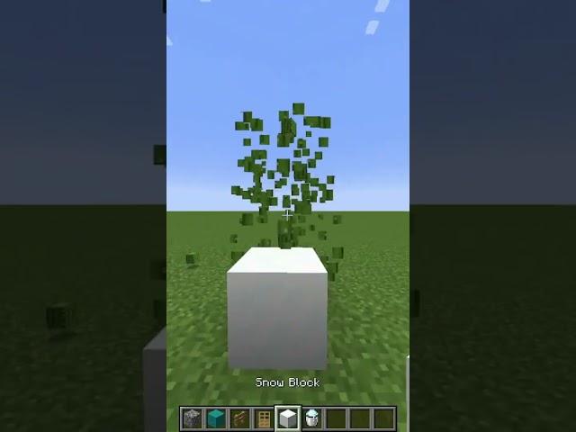 Kakteen ergeben keinen Sinn teil 3  #minecraft #minecraftmemes #minecraftshorts