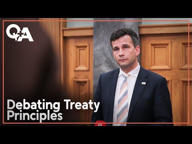 David Seymour: Implications of Treaty Principles Bill | Q+A 2024