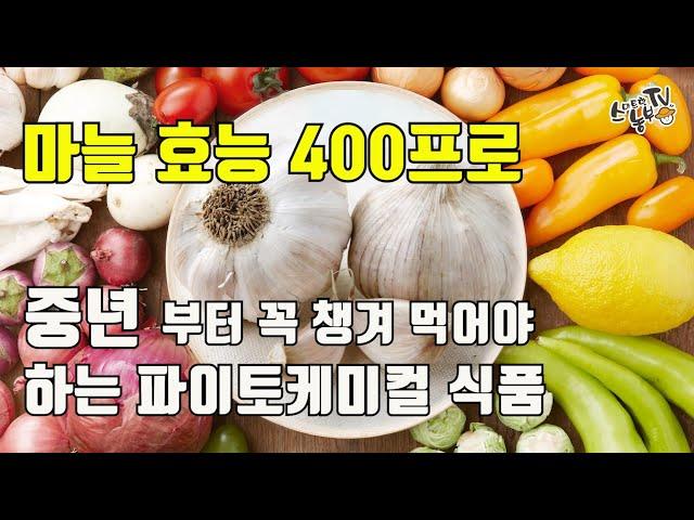 마늘 효능 10가지 중년 건강 관리에 필수